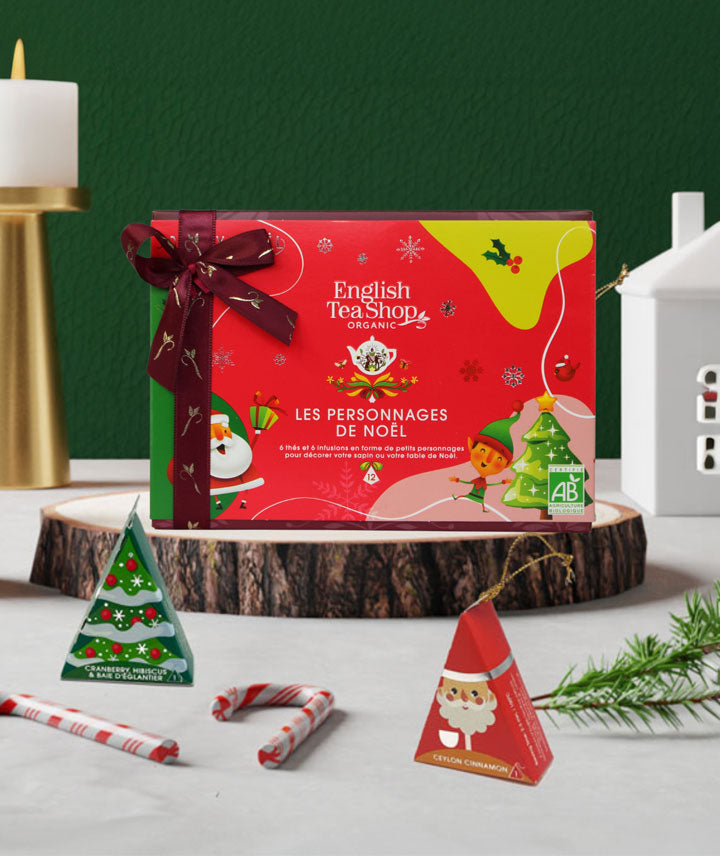 Coffret Personnages de Noël à Décorer