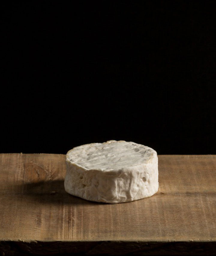 Tout en Crème de-la-Côte-d'Opale