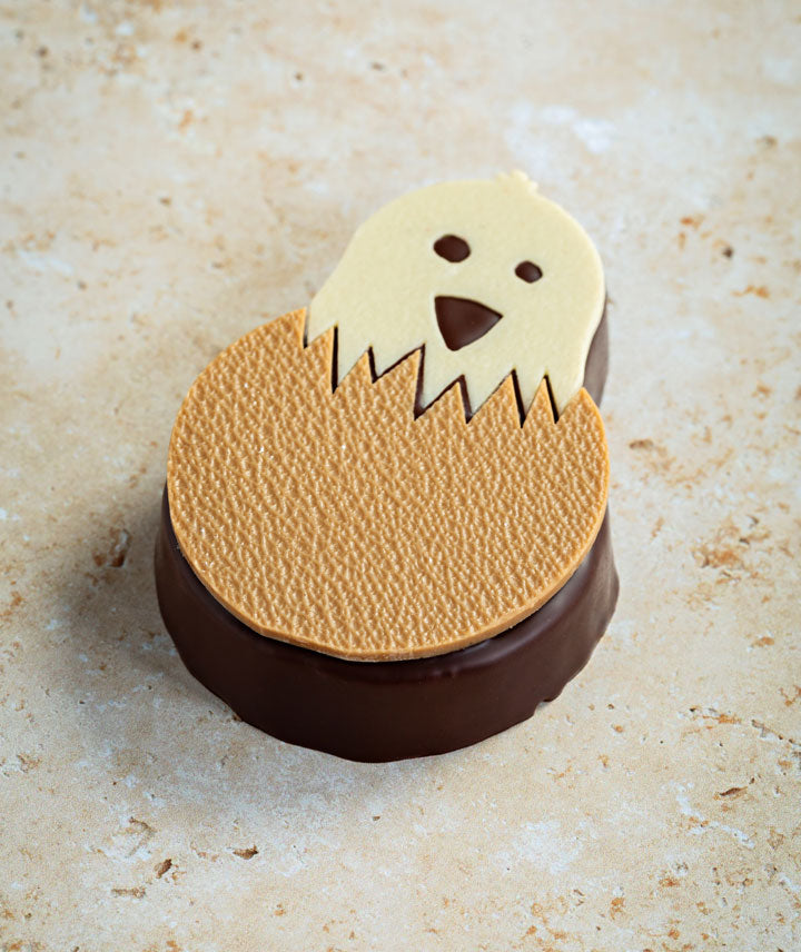 Poussin guimauve chocolat noir