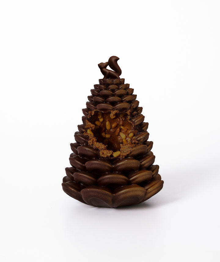 La grande pomme de Sapin - Noir