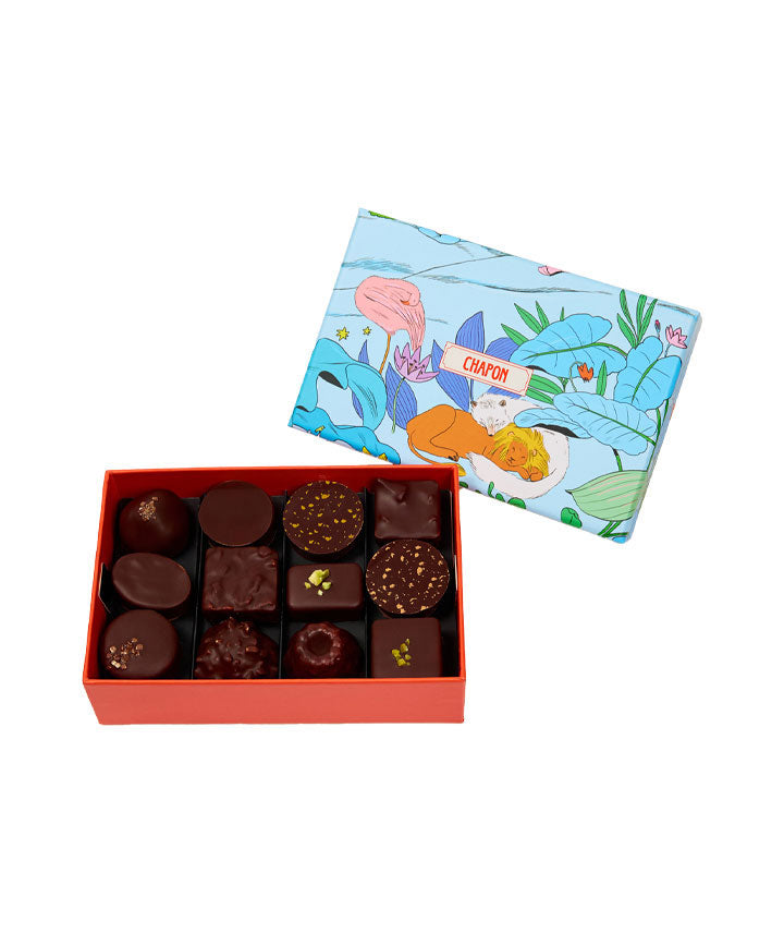 Coffret 24 - Merveilleuse épopée