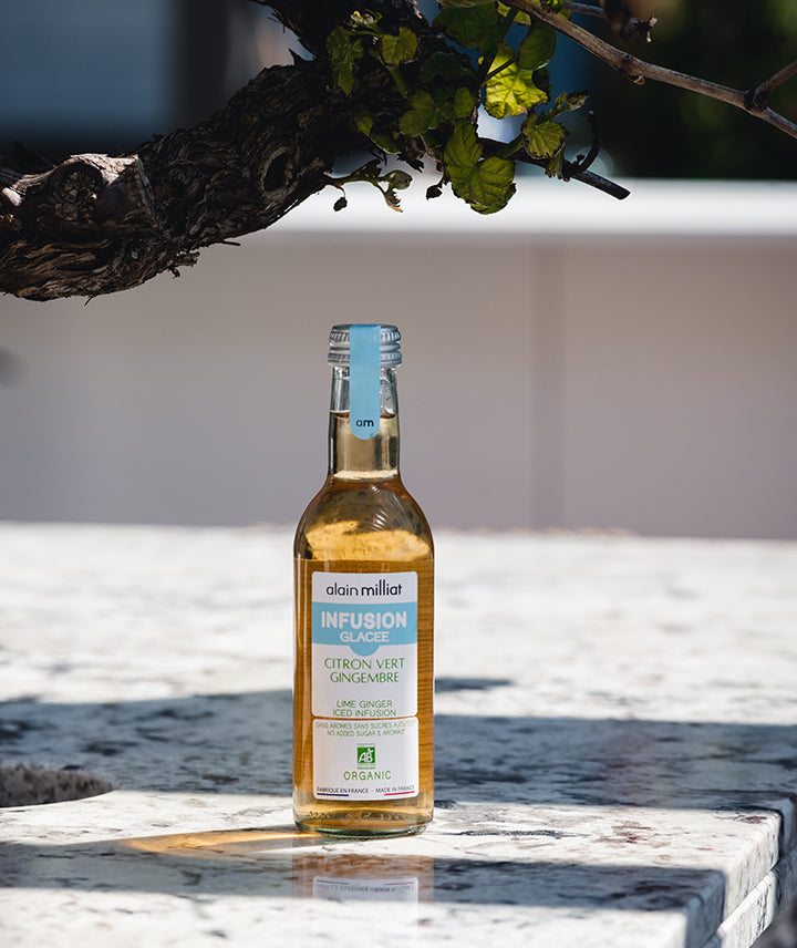 Infusion glacée gingembre citron vert bio