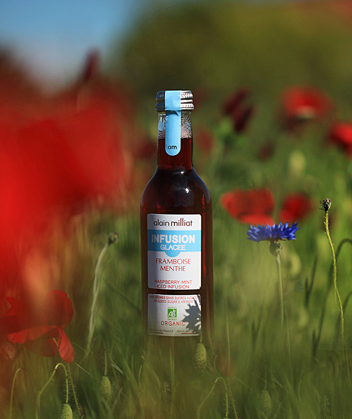 Infusion glacée framboise menthe bio - Petit format