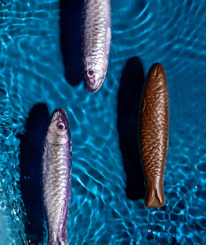 Boîte de 5 sardines