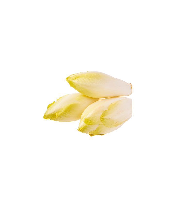 Endive