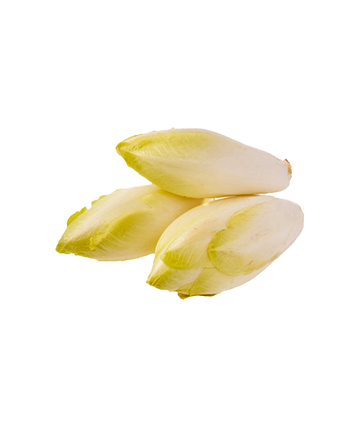 Endive