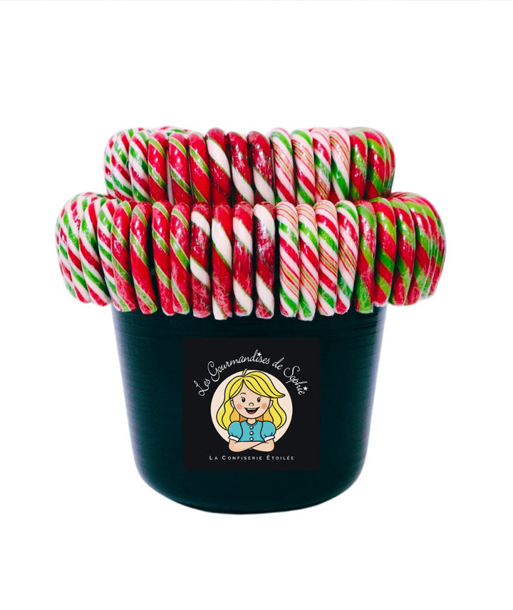 Canne à sucre P'tite canaille - x1