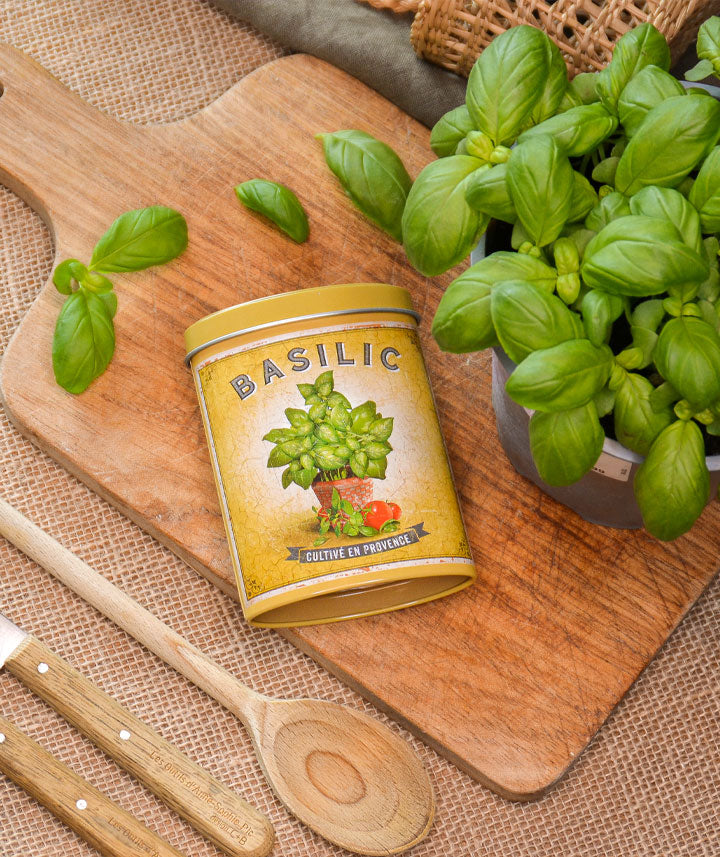 Basilic de Provence - Boite verseuse