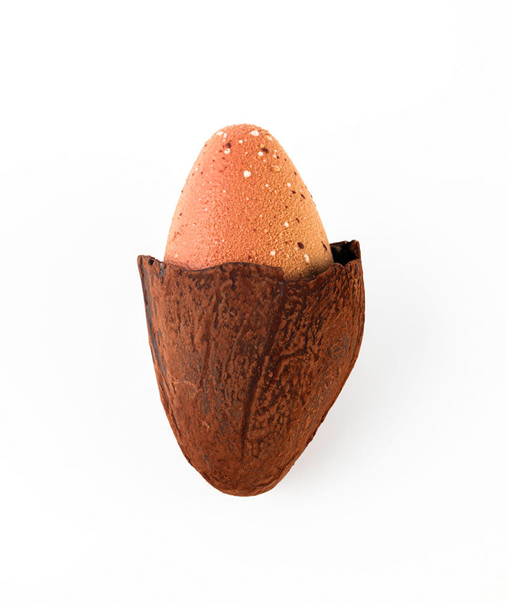Le Petit oeuf dans la coque