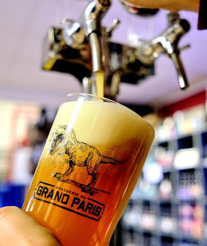Citra Galactique - Bière blonde