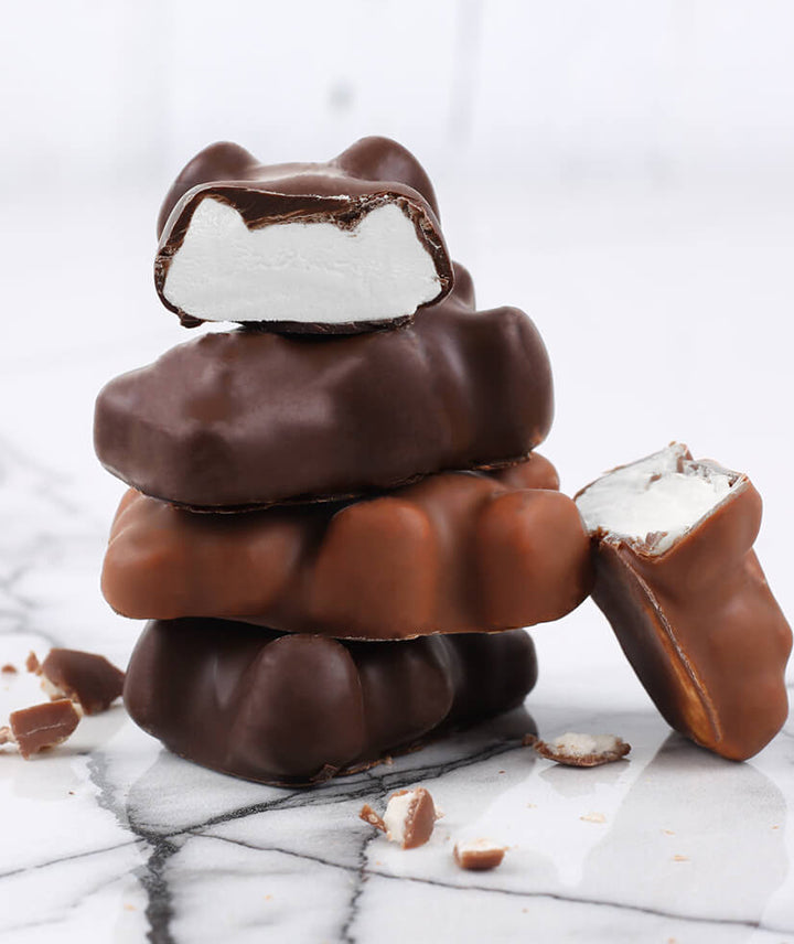 Oursons guimauve au chocolat lait et noir