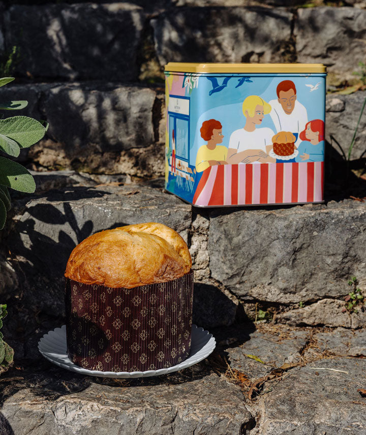Panettone artisanal au citron de Menton – Mitron Bakery