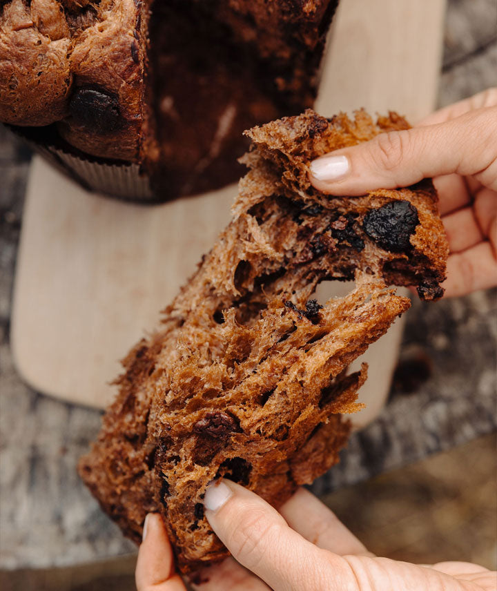Panettone artisanal au chocolat – Mitron Bakery