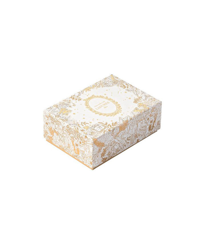 Coffret de 12 macarons "Le Jardin Magique"
