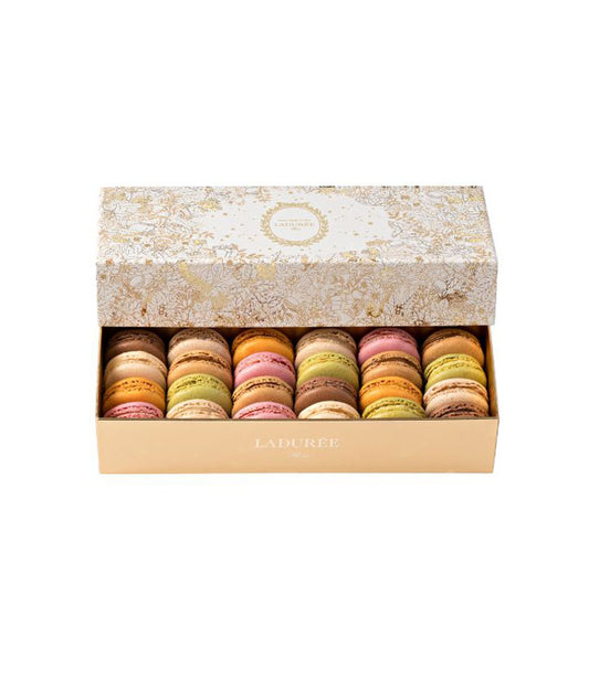 Coffret de 24 macarons "Le Jardin Magique"