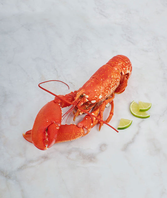 Homard entier cuit européen