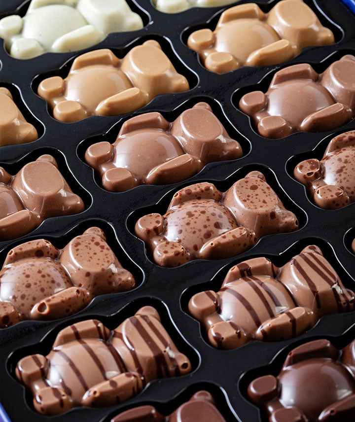 Boite 10 oursons praliné