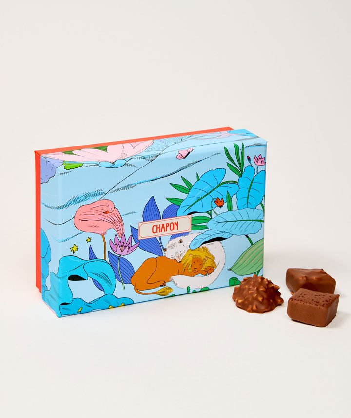 Coffret 24 - Merveilleuse épopée
