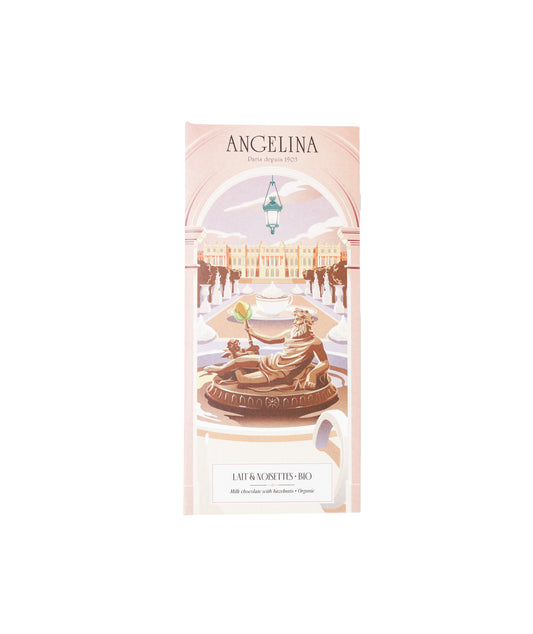 Tablette chocolat au lait & éclats de noisette bio
