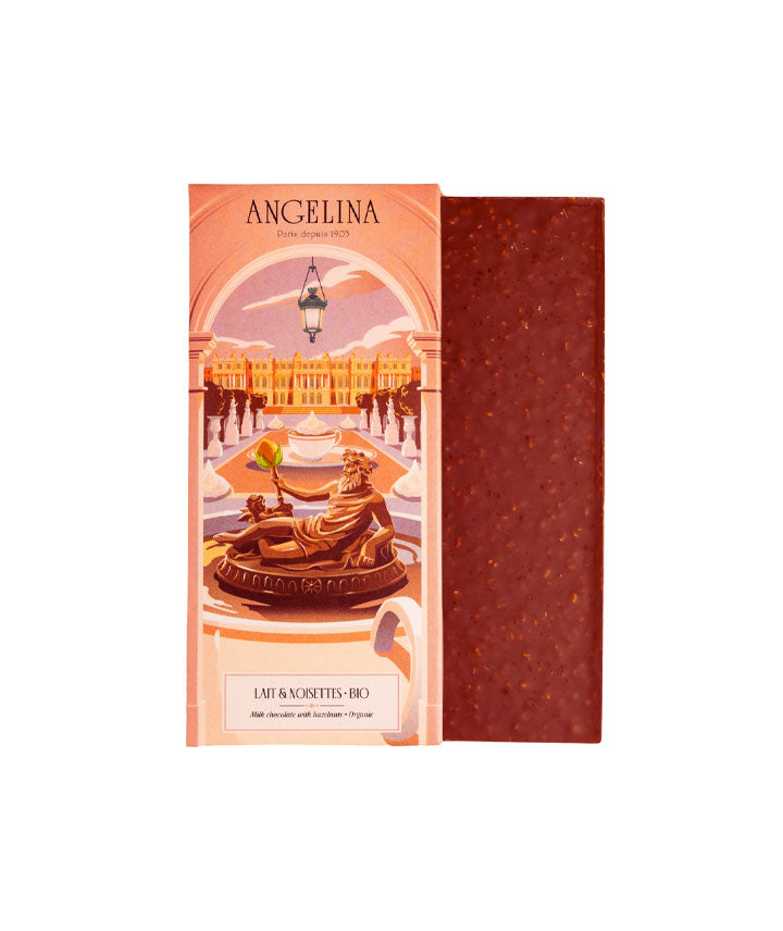 Tablette chocolat au lait & éclats de noisette bio