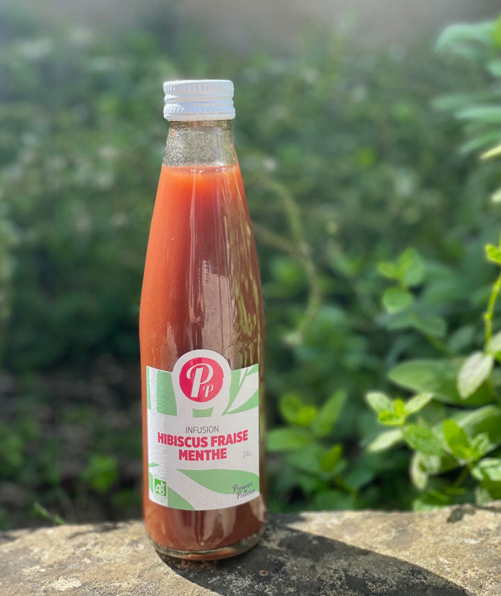 Infusion hibiscus, fraise et menthe bio