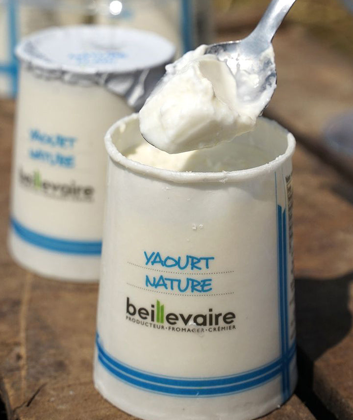 Yaourt nature lait entier X4