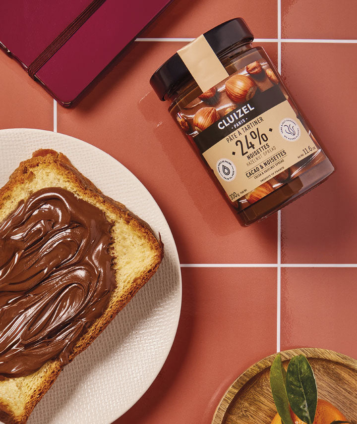 Pâte à tartiner noisettes 24%