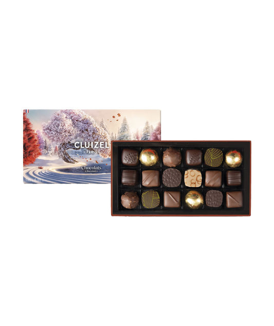 Coffret découverte chocolat praliné et ganache