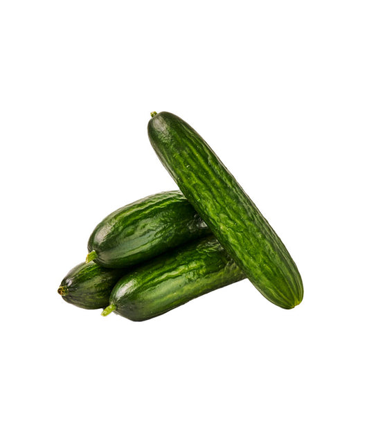 Concombre