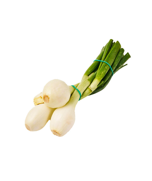 Oignon botte