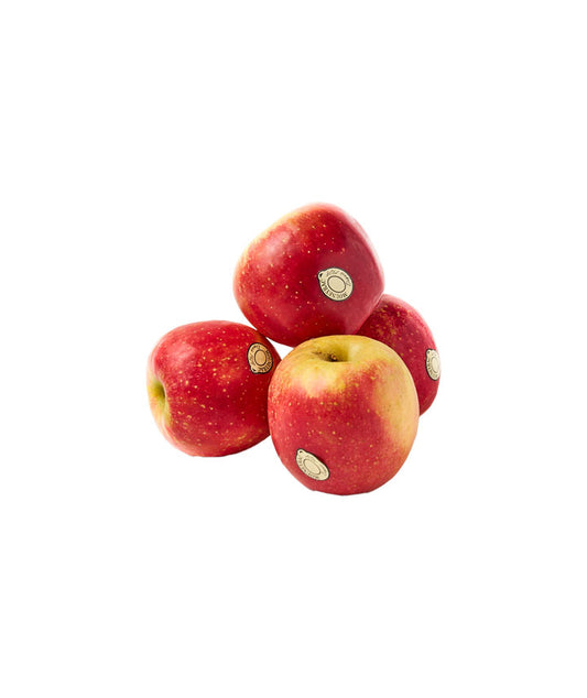 Pomme Golden Rose
