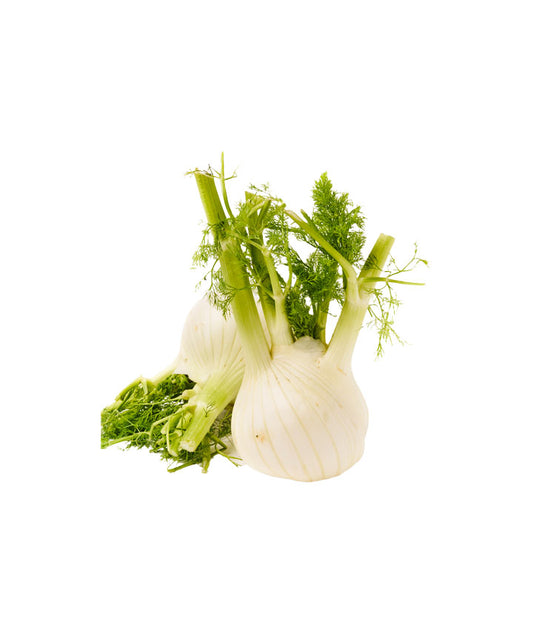Fenouil