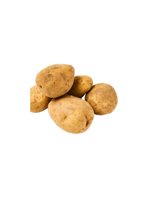 Pomme de terre Bintje
