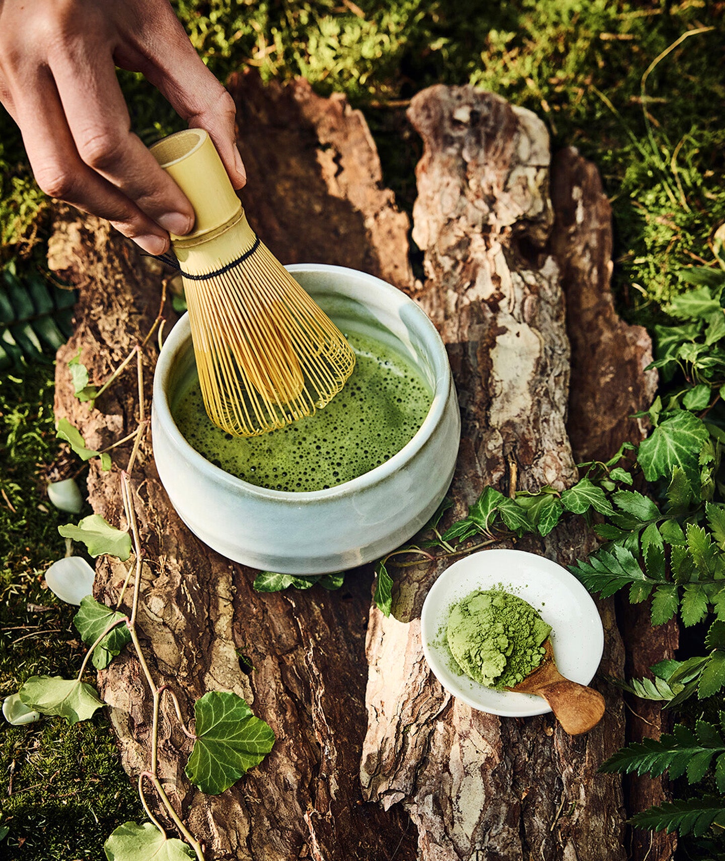 Coffret initation matcha