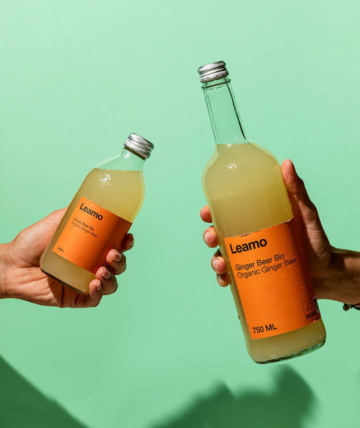 Ginger Beer - petit format
