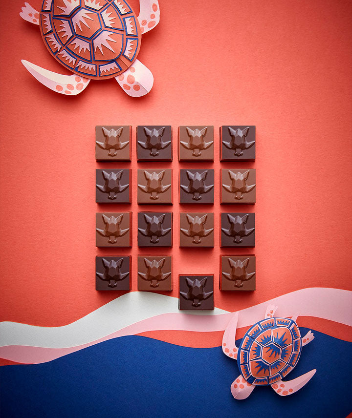 Coffret pépites tortues
