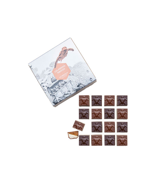 Coffret pépites tortues