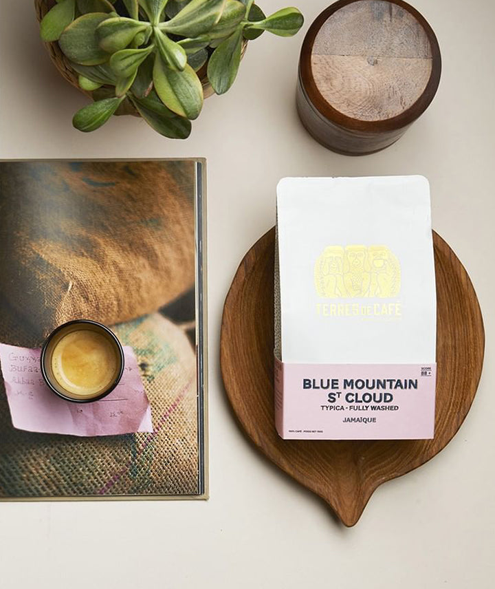 Café Jamaïque Blue Mountain St Cloud Estate - Grains