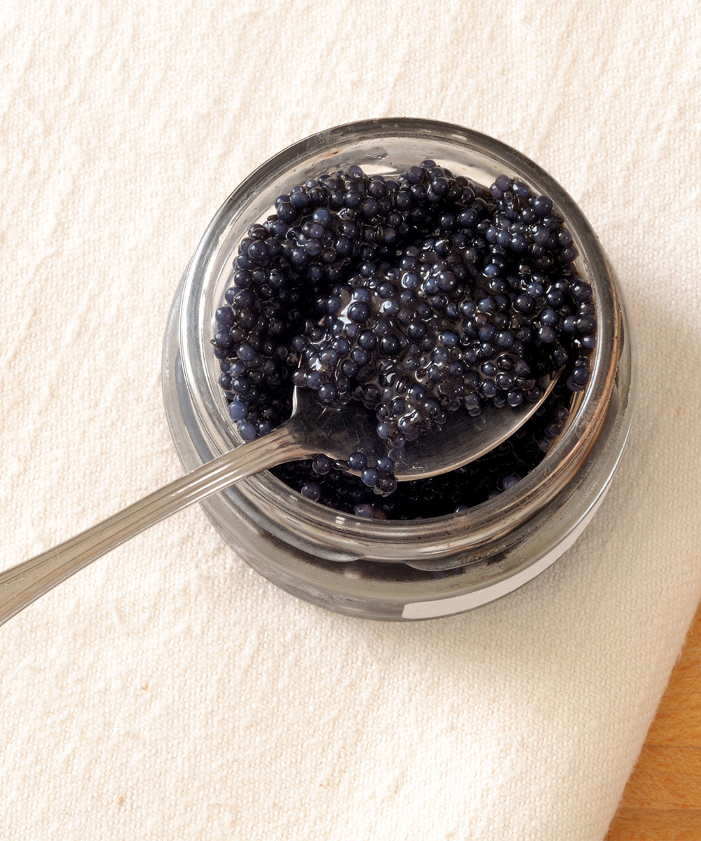 Oeufs de lompe noirs MSC