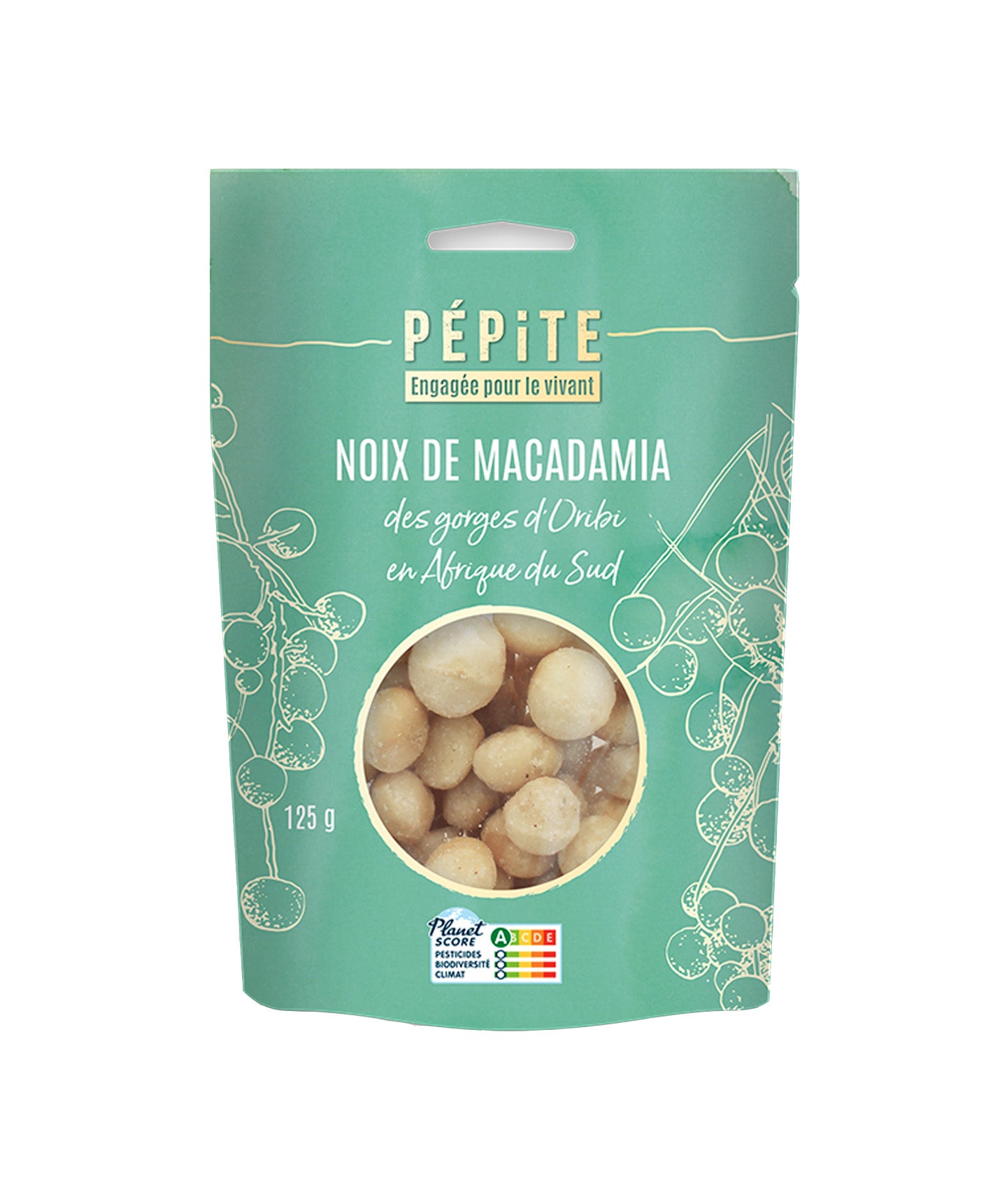 Noix de Macadamia