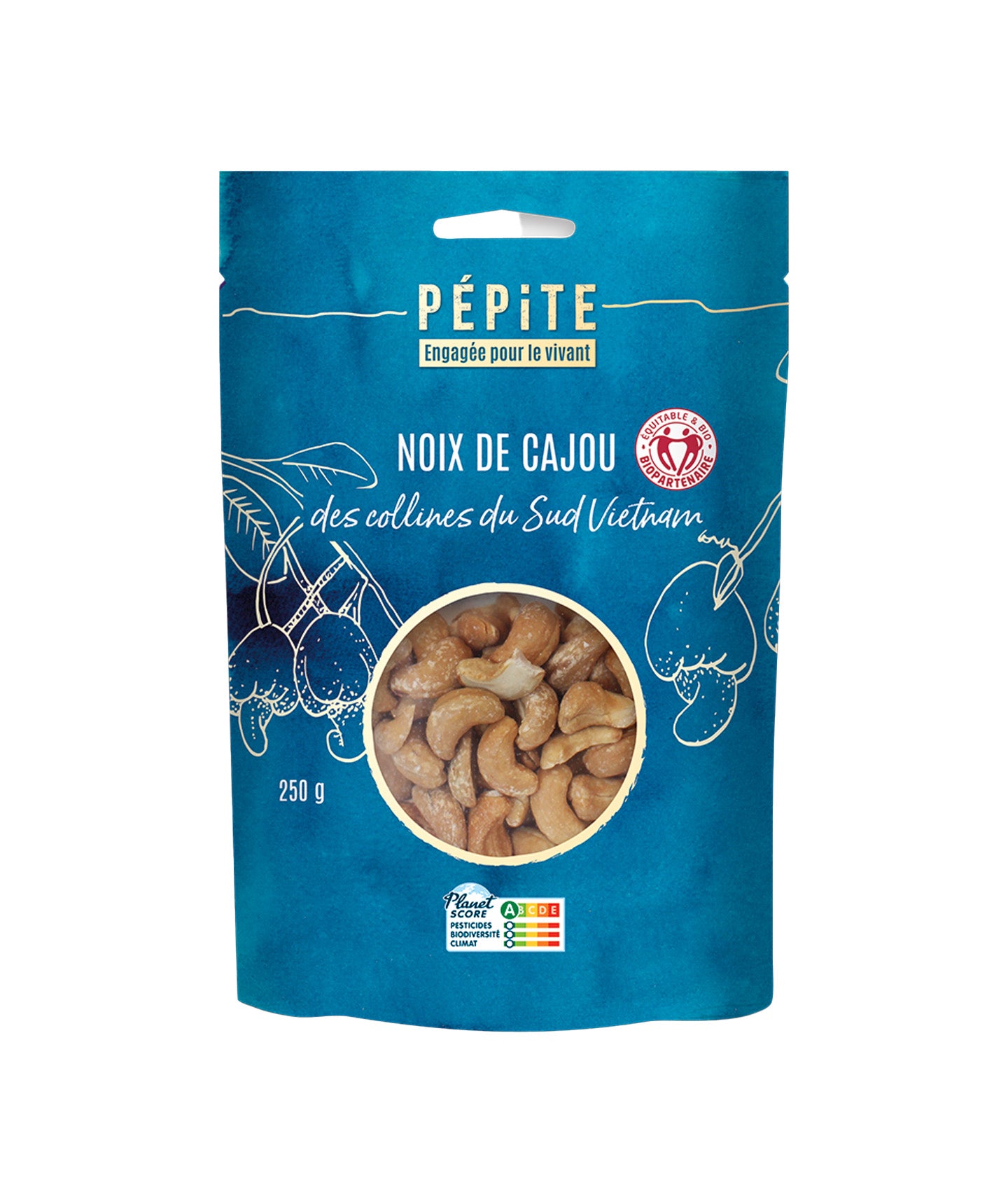 Noix de cajou