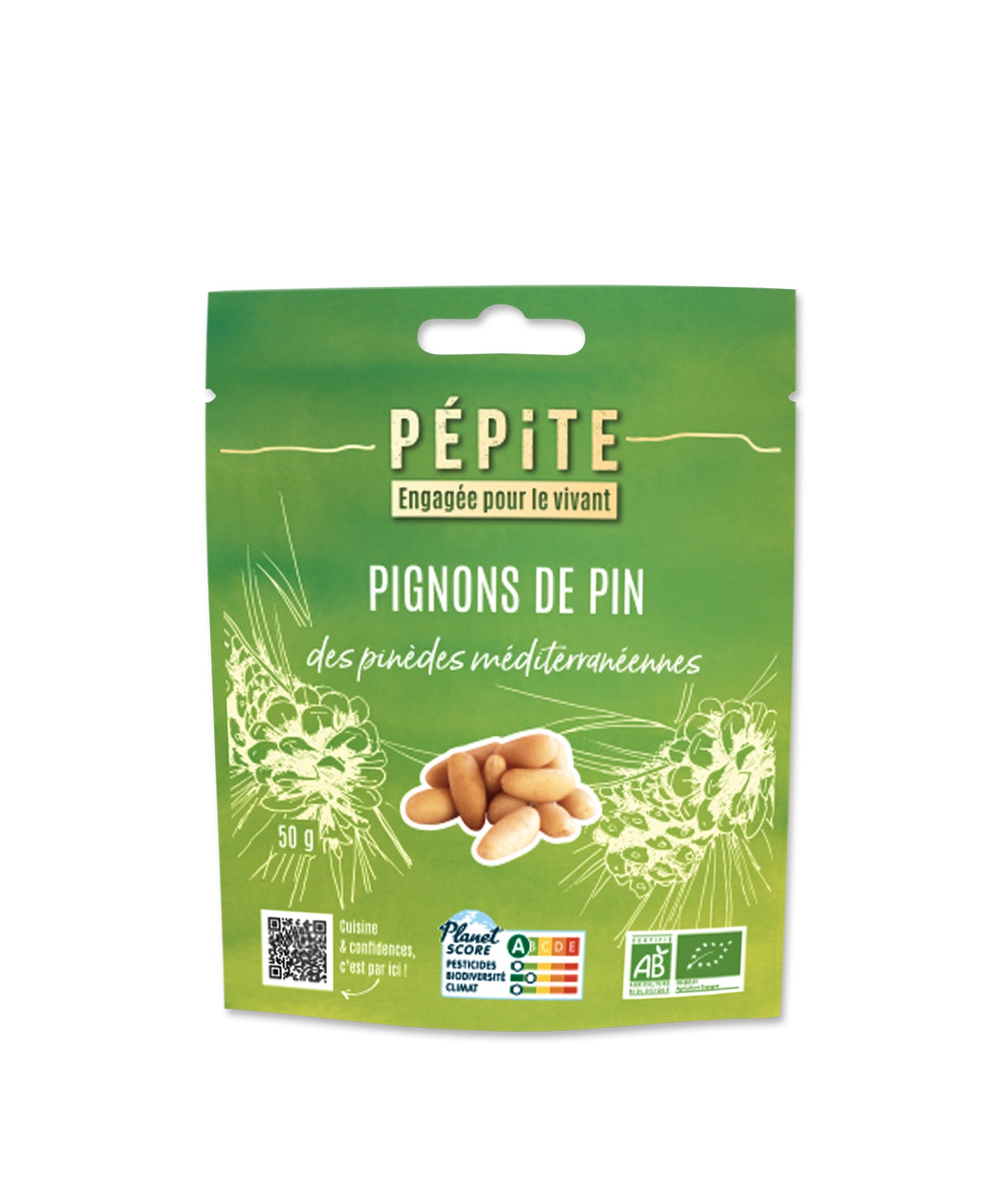 Pignons de pin