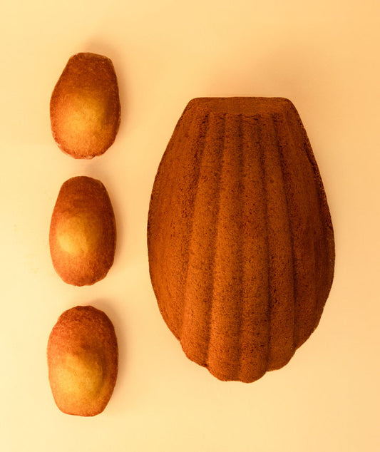 Madeleine XL - 6 à 8 personnes