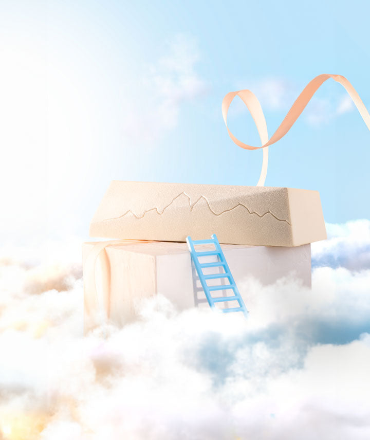 La bûche de Noël "Dans les nuages"