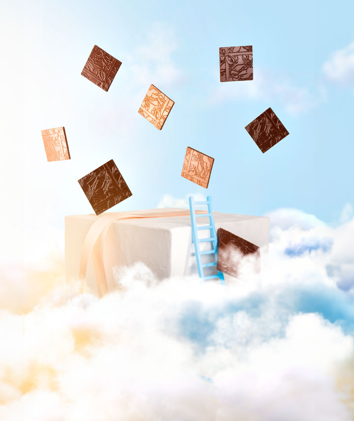 Minis tablettes chocolat fines - Lait