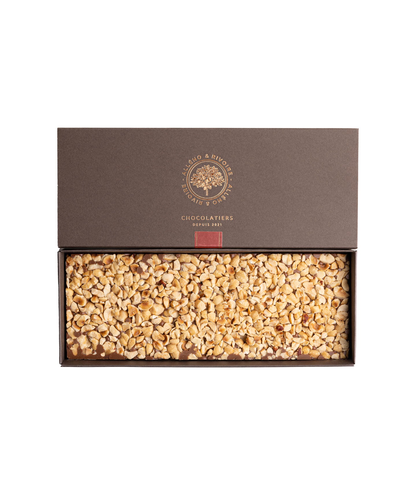 Grande plaquette gianduja