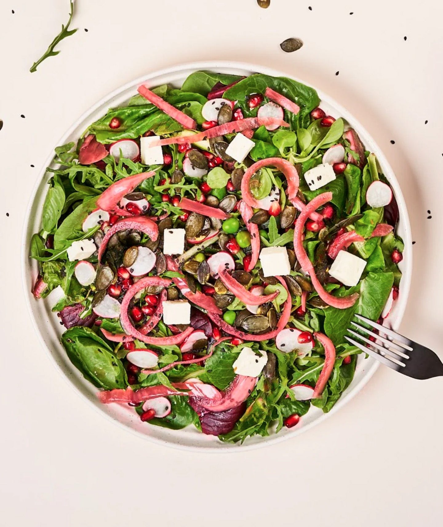 Pickles oignon vinaigrette - Bio