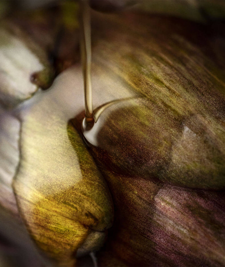 Huile d'olive originelle Domaine de Leos