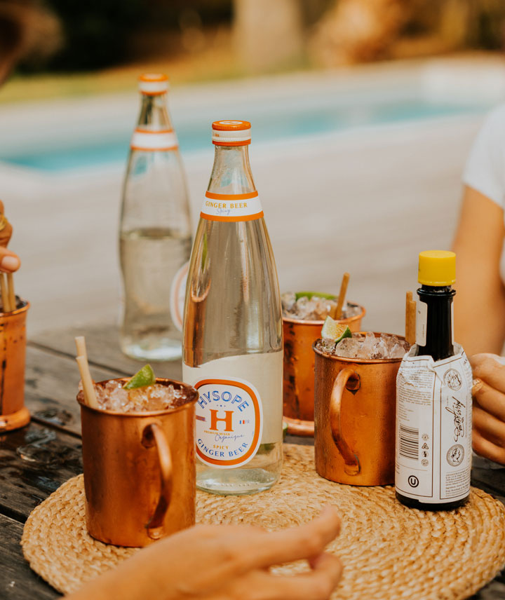 Spicy ginger Beer - Grand format