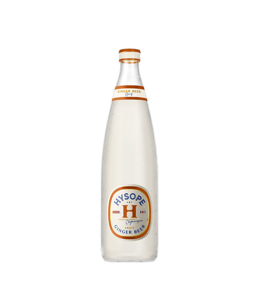 Spicy ginger Beer - Grand format